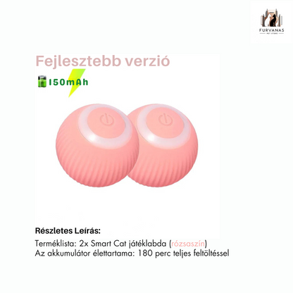Interaktív Kisállat Játék Labda