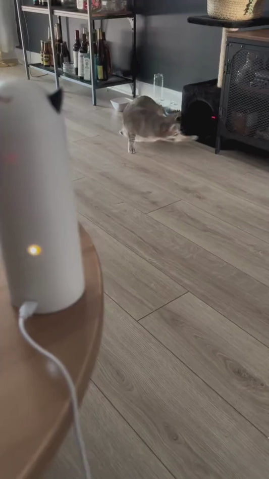Automata Macskajáték – Interaktív Smart LED Lézer